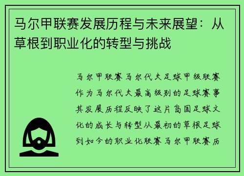 马尔甲联赛发展历程与未来展望：从草根到职业化的转型与挑战